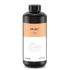 Model 1 Resin