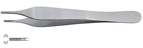 Adson Brown Surgical Forceps 12 cm