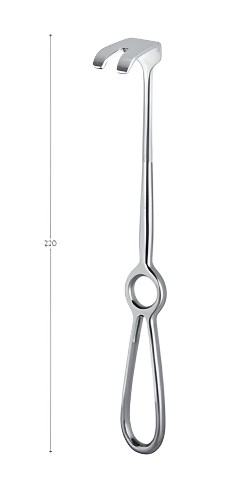 Frenulum retractor