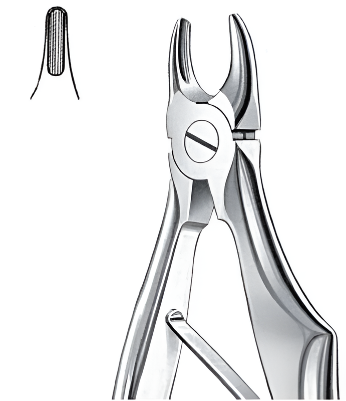 Extraction forceps for upper incisors