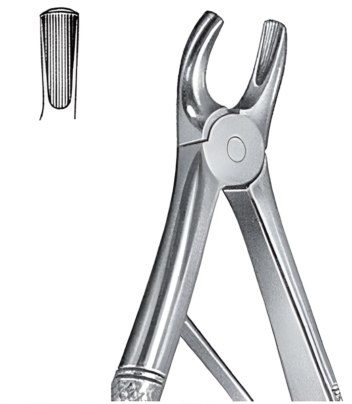 Extraction forceps for upper premolars