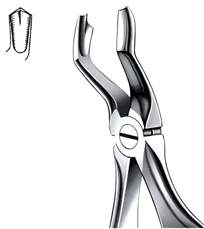 Extraction forceps for upper molars