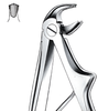 Extraction forceps for lower incisors
