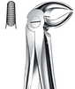 Extraction forceps for lower premolars