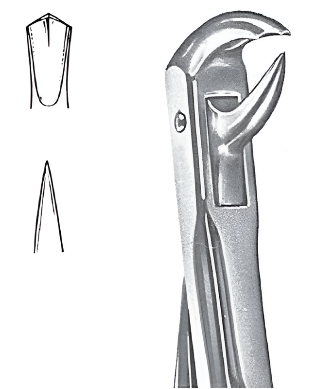 Extraction forceps for lower molars Fig.37