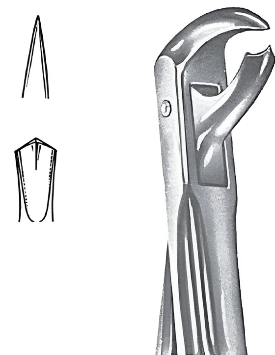 Extraction forceps for lower molars Fig.38