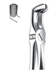 Extraction forceps for lower wisdom teeth Fig.79/A