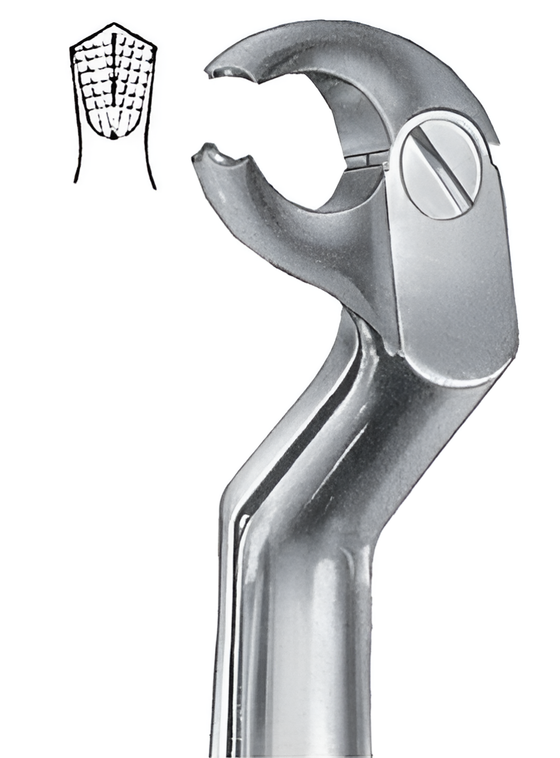 Routulier extraction forceps for lower molars - right