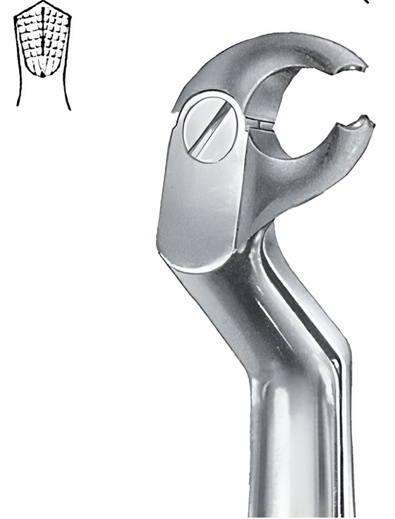Routulier extraction forceps for lower molars - left