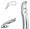 Euler lower wisdom tooth extraction forceps