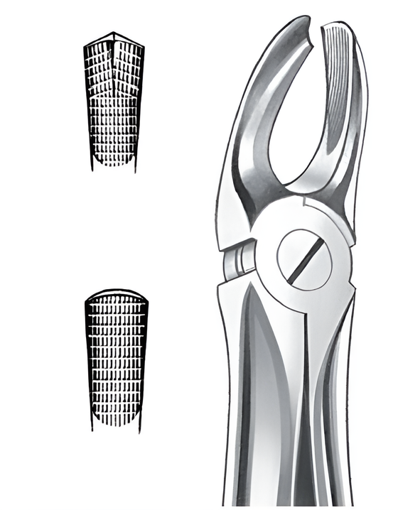 Extraction forceps for upper right molars