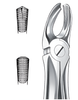 Extraction forceps for upper right molars