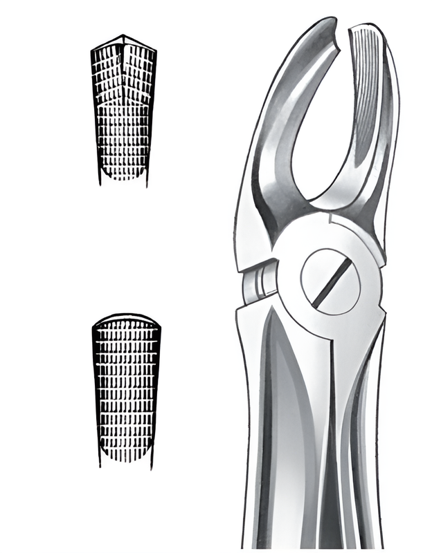 Extraction forceps for upper right molars