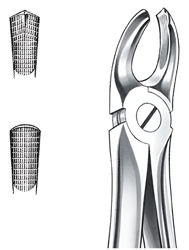 Extraction forceps for upper left molars