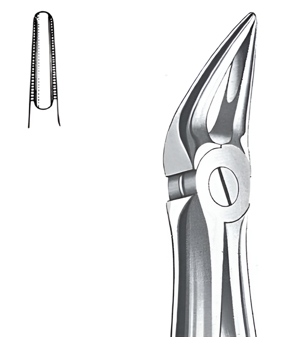 Extraction forceps for upper incisor roots Fig.30