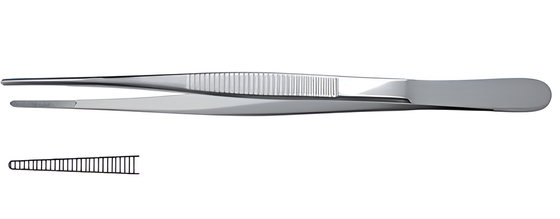 Anatomical forceps standard straight 16 cm