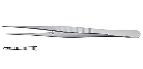 Anatomical forceps Semken