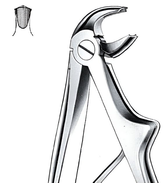 Extraction forceps for lower molars
