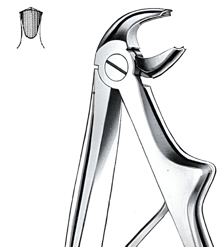 Extraction forceps for lower molars