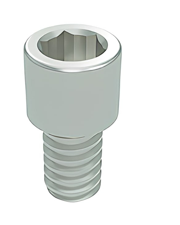 Dynamic screw